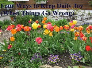 four ways to keep daily joy