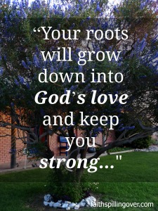 God's love roots deep