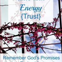 How to Save Time and Energy {Trust}